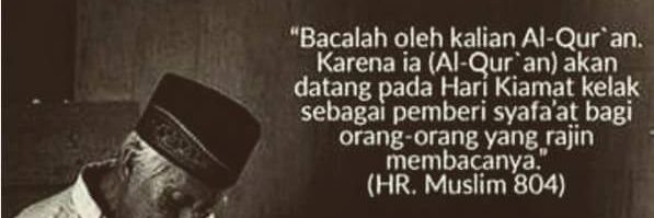 indraP23's profile banner image