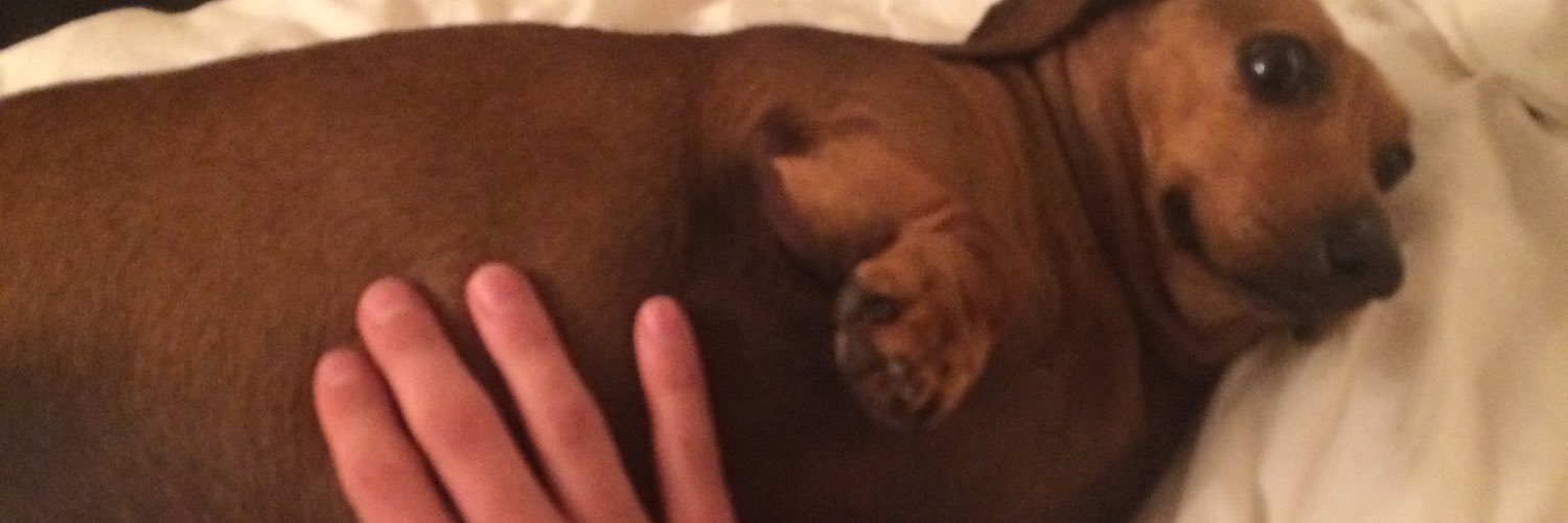 friendly_taco's profile banner image