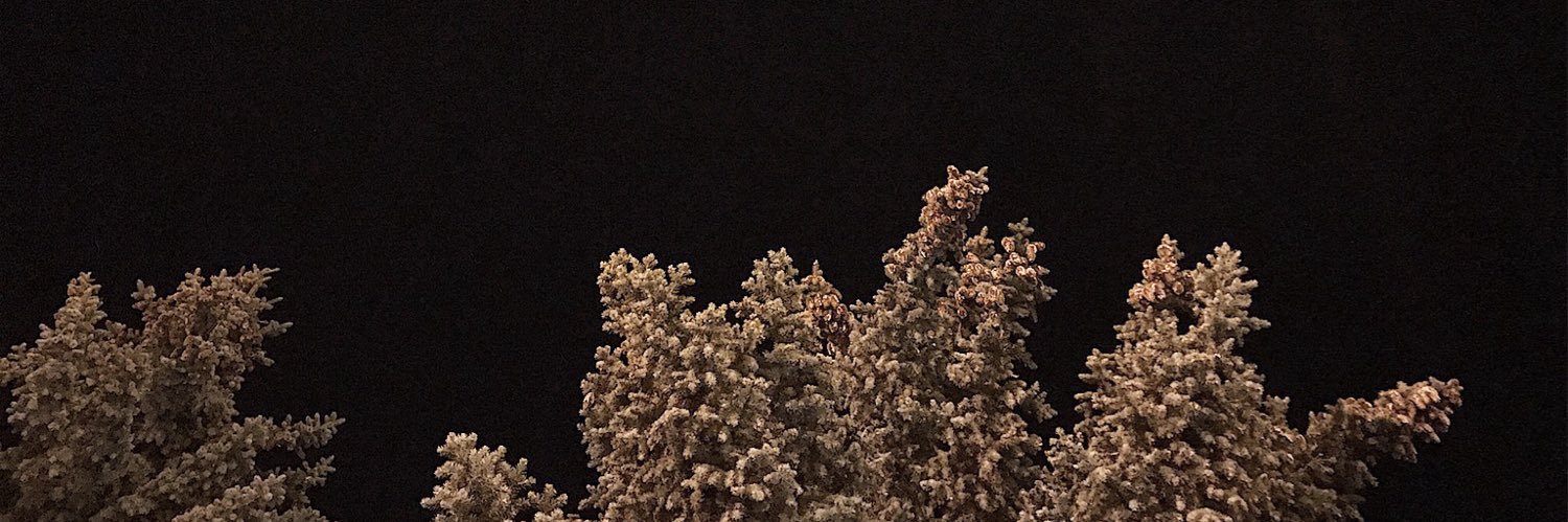 hunterdanelson's profile banner image