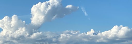 The Real Robot™ banner