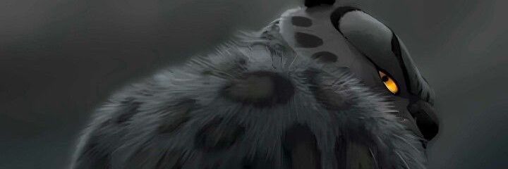 Teekay🇸🇿🏴‍☠️ banner