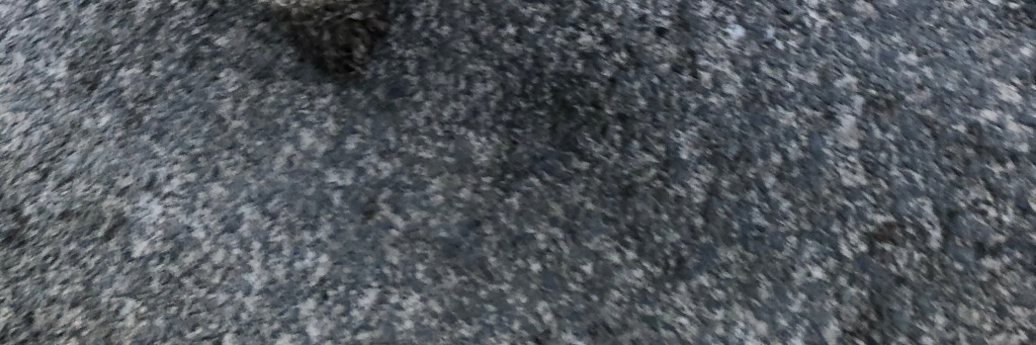 LozzaUK banner