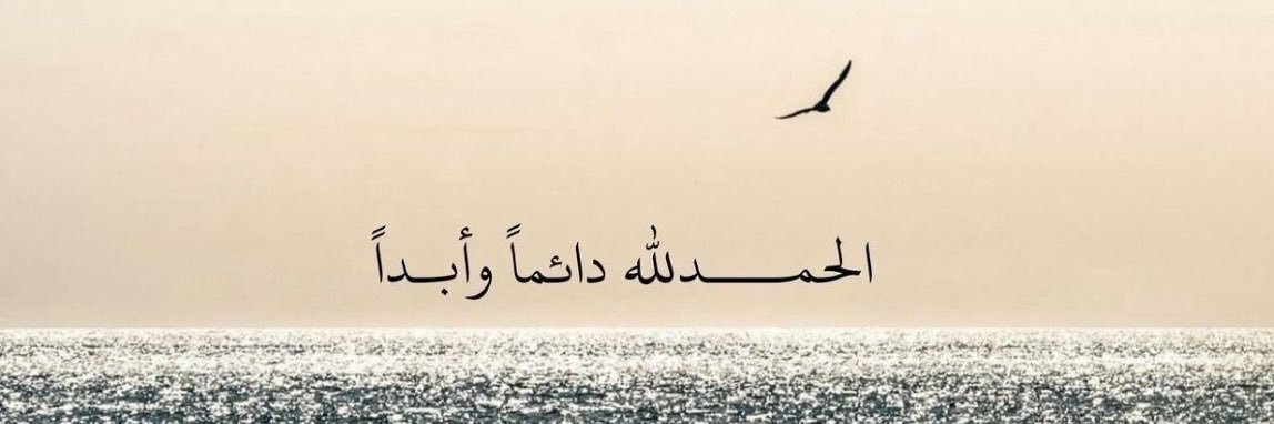 رعد المحمَادي banner