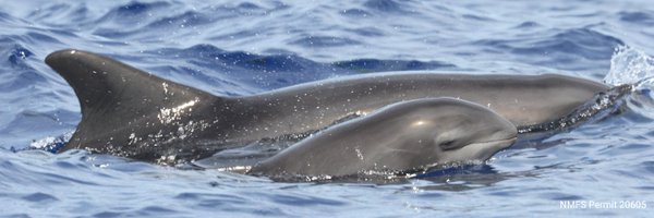 dclde Profile Banner