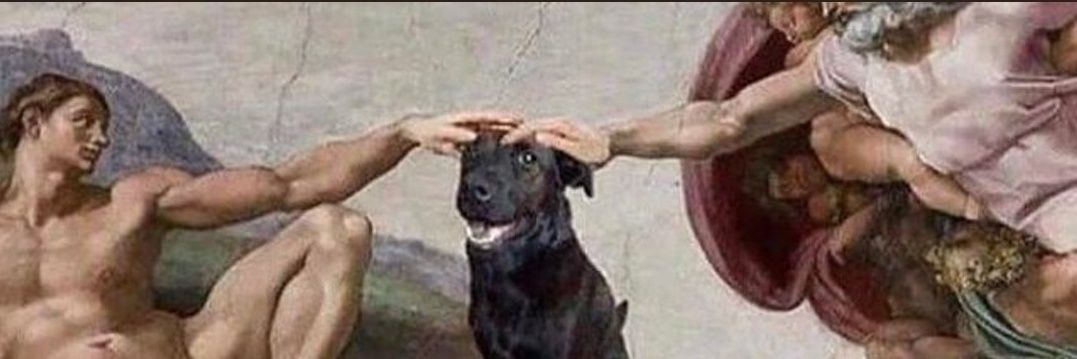 ⚡️MaxMusic ⚡️🎸🎶⭐️⭐️⭐️ banner