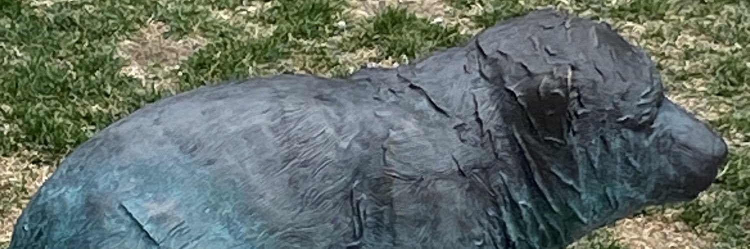 AnnBradfield's profile banner image
