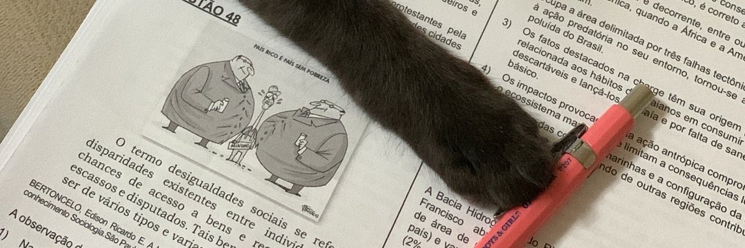 annastudy01's profile banner image