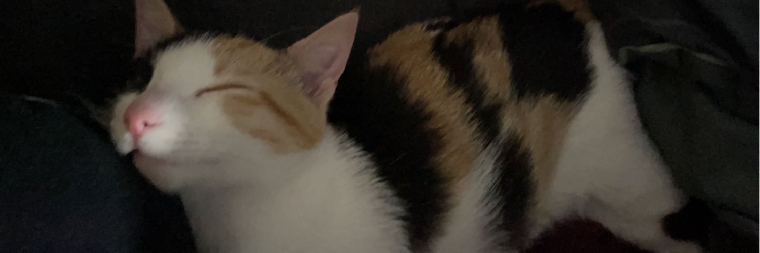 xrfdz's profile banner image