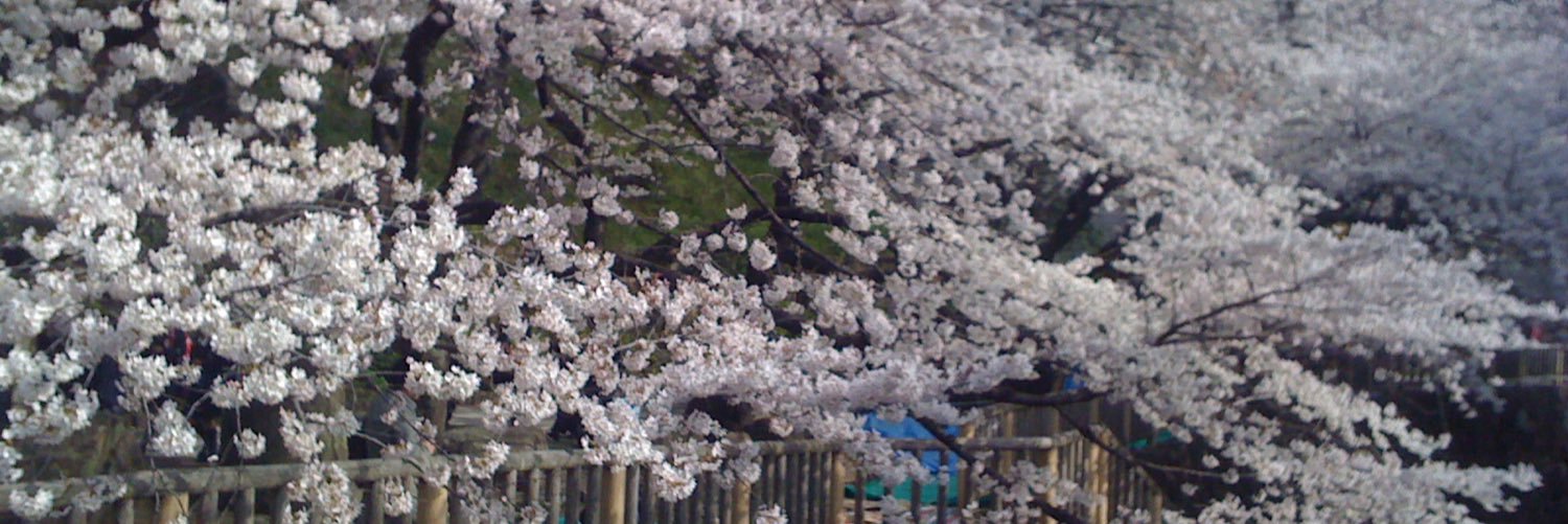 higebouya's profile banner image