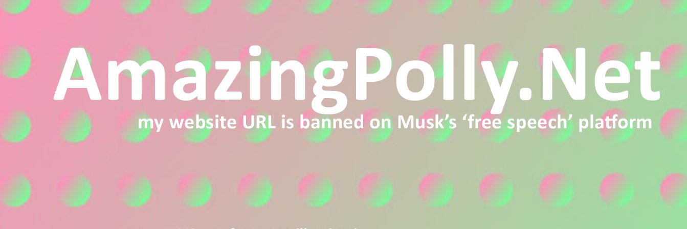 Polly St. George banner