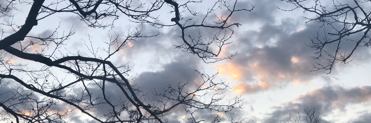 flipflop121's profile banner image