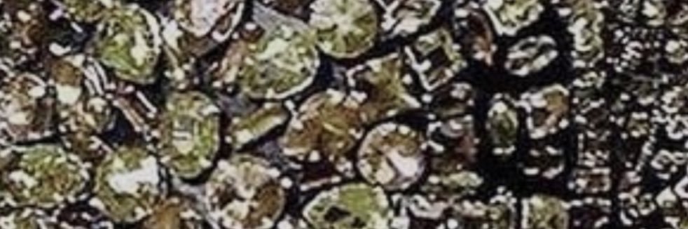Simon banner