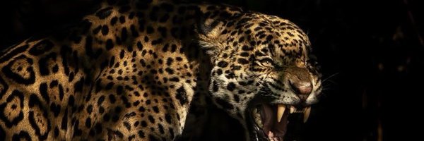 obscurepluto Profile Banner