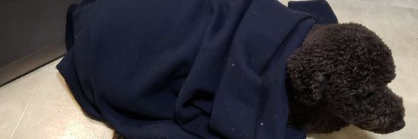 RealGarlic29 Profile Banner