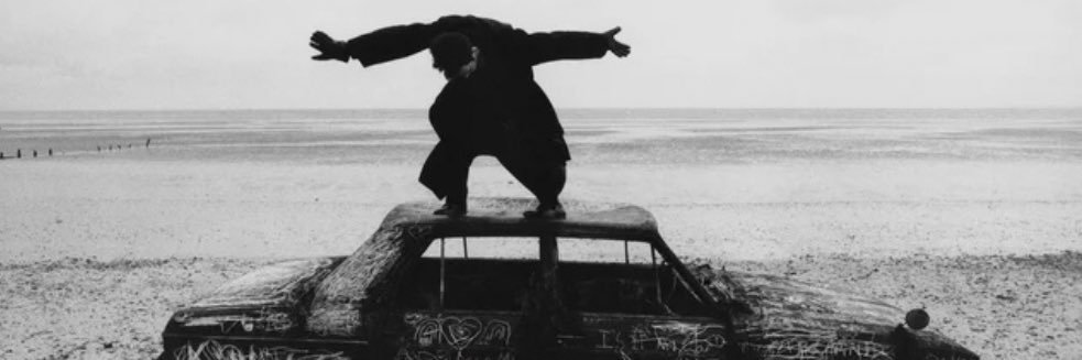 porta 🇵🇸 banner