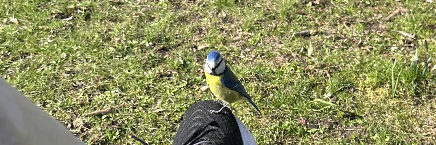 Björn Smedman banner