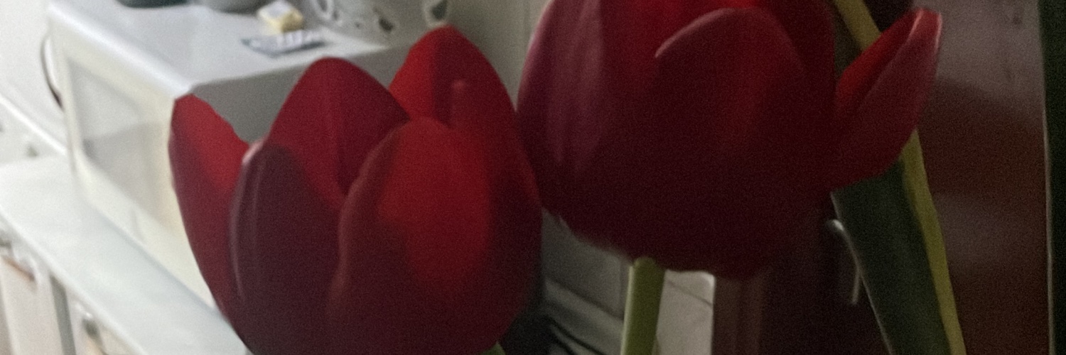 maandradd's profile banner image
