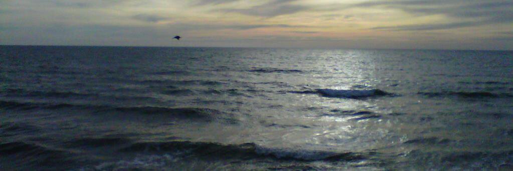 Dolphin3n's profile banner image