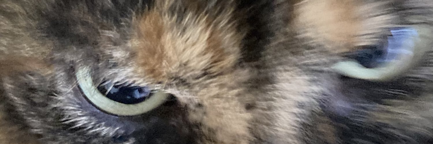 nuciearweaponbi's profile banner image
