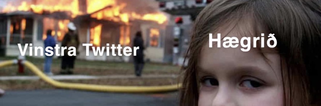 Andrea Sigurðardóttir banner