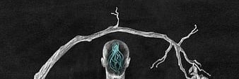 Gost's banner