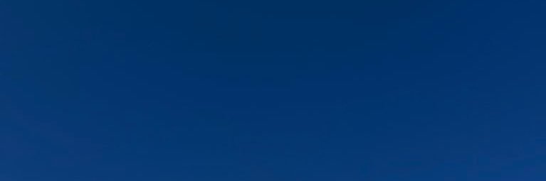 ellxhalls's profile banner image