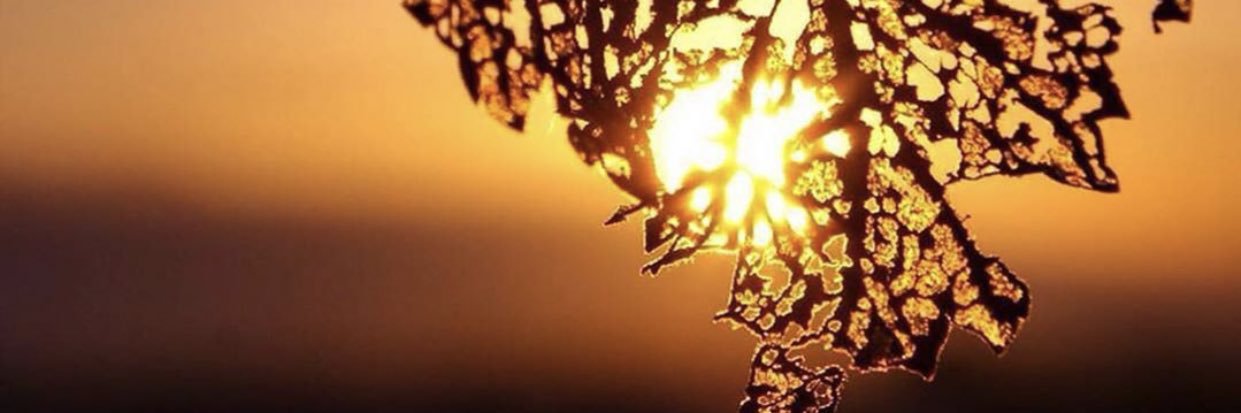 smyr_ss's profile banner image
