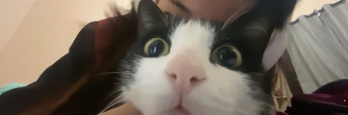 ͏ 𓆩♡𓆪 VIU O ONE OK ROCK banner