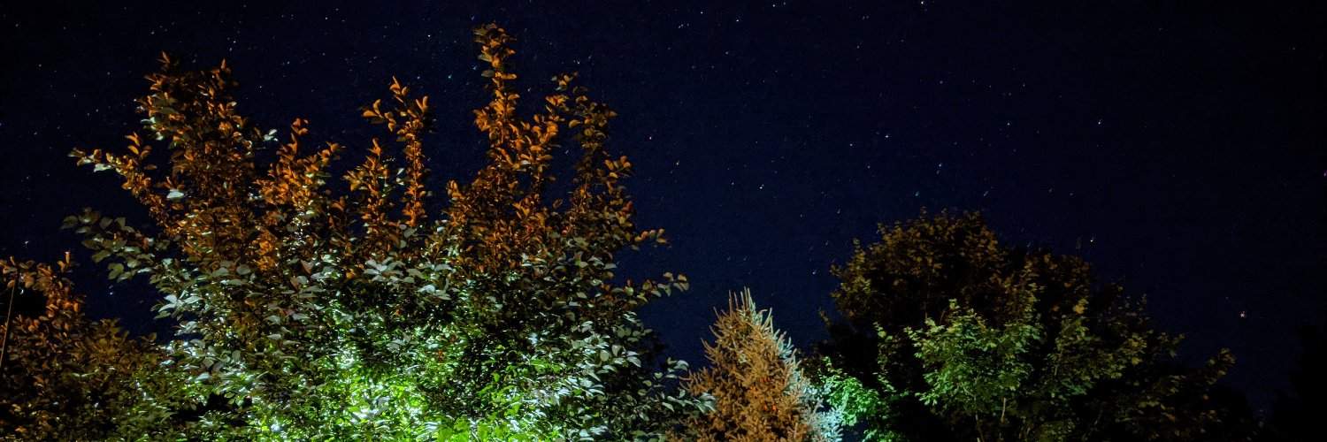 LearningToFly 🍹 banner