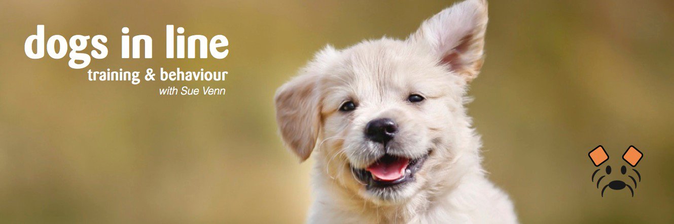DogsInLine's profile banner image
