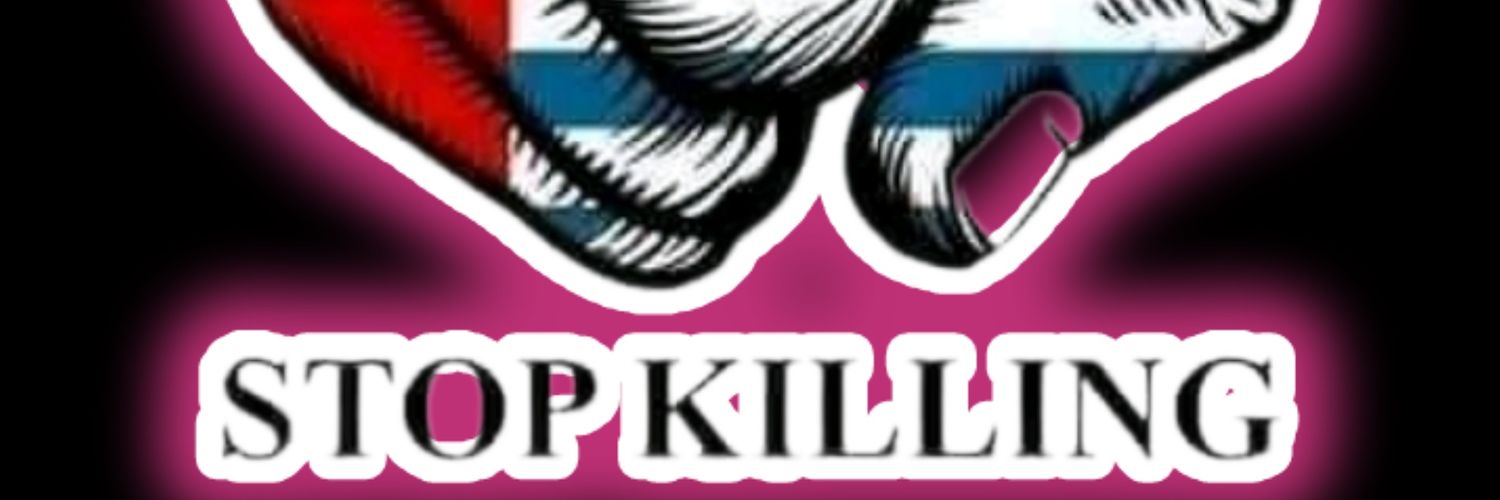 bratasewmhell's profile banner image