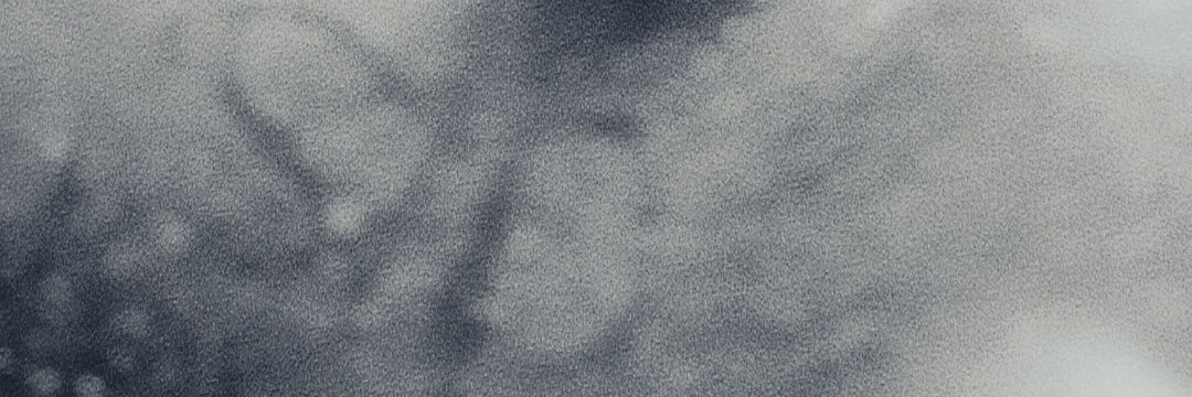 Ben White's shadow banner