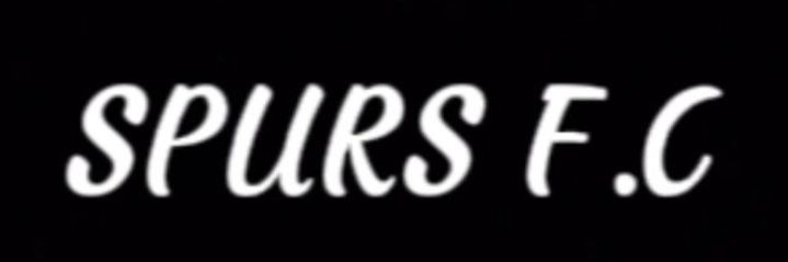 SPursfc13's profile banner image