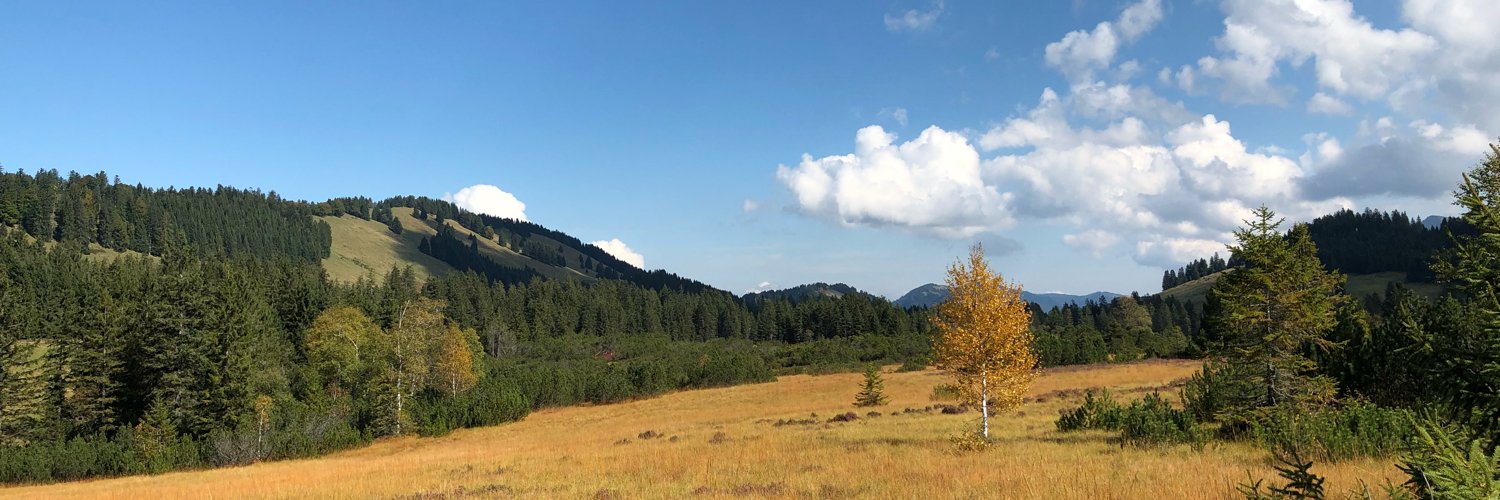 imrabti's profile banner image