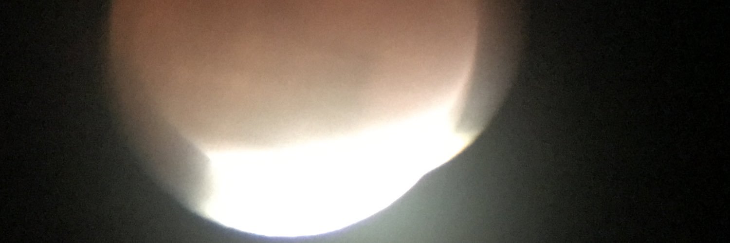 Debra J. Johansson banner