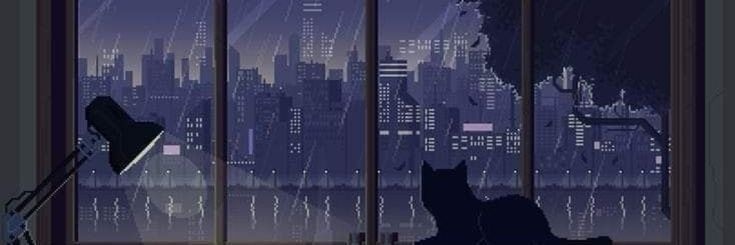 Murilo | Wonder banner