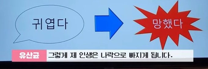 욜로석사 banner