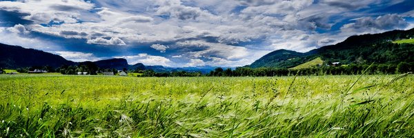 highzeth Profile Banner