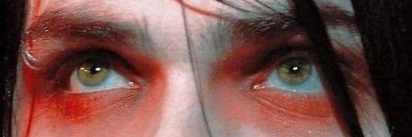 chanequecow Profile Banner