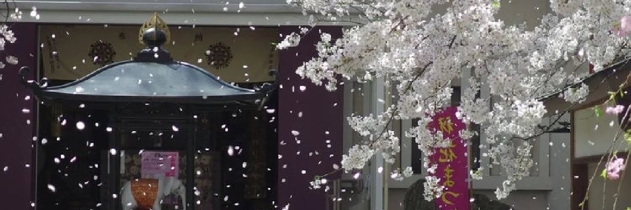 xiazimo3's profile banner image