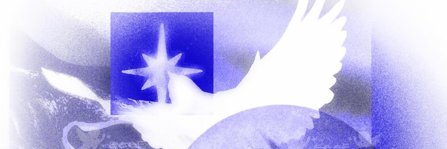 XTY0817's profile banner image