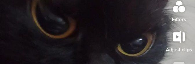 odybie's profile banner image