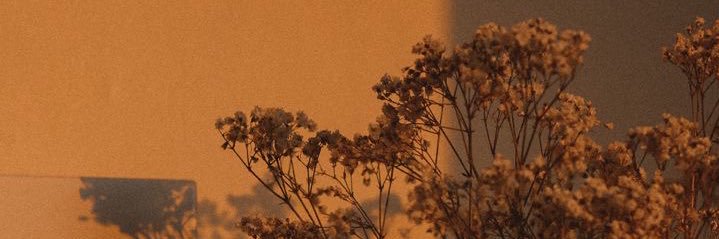 volense_'s profile banner image