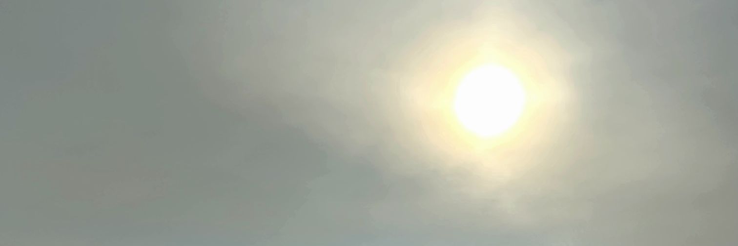 hi you, yes you! 𖣂 banner