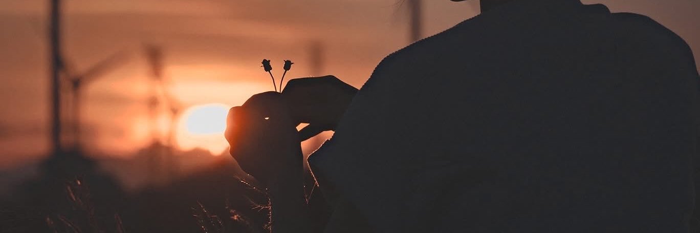 68CryptoNews's profile banner image