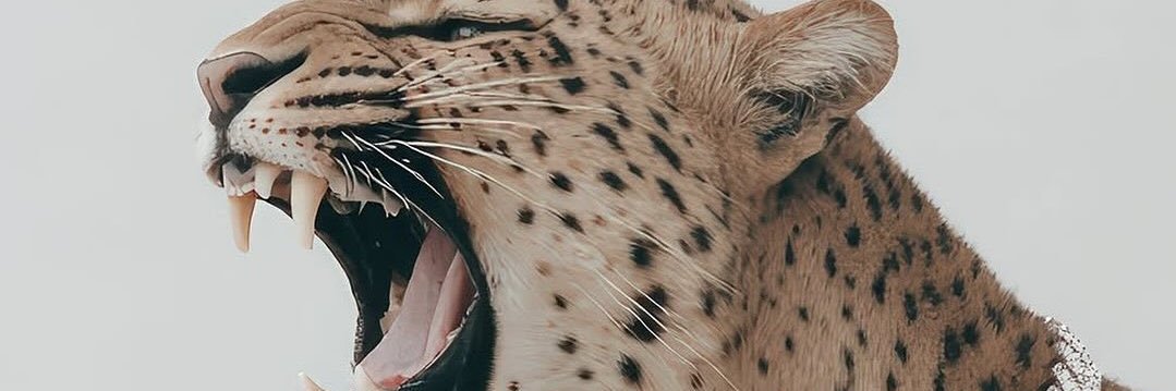 STERLING098's profile banner image