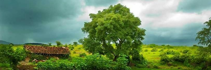 mojahed1's profile banner image