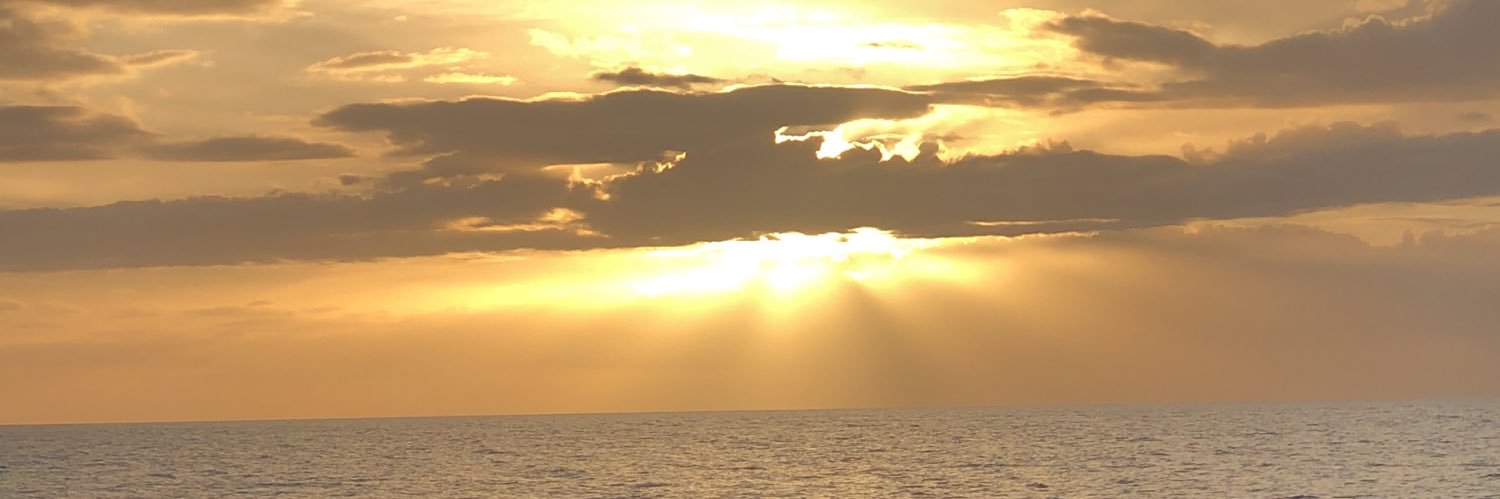LisaKotecki's profile banner image