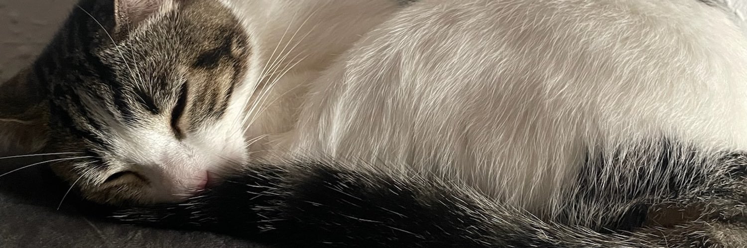 wolfielens's profile banner image