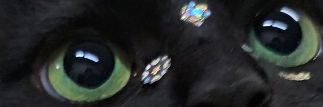 ur_daze's profile banner image
